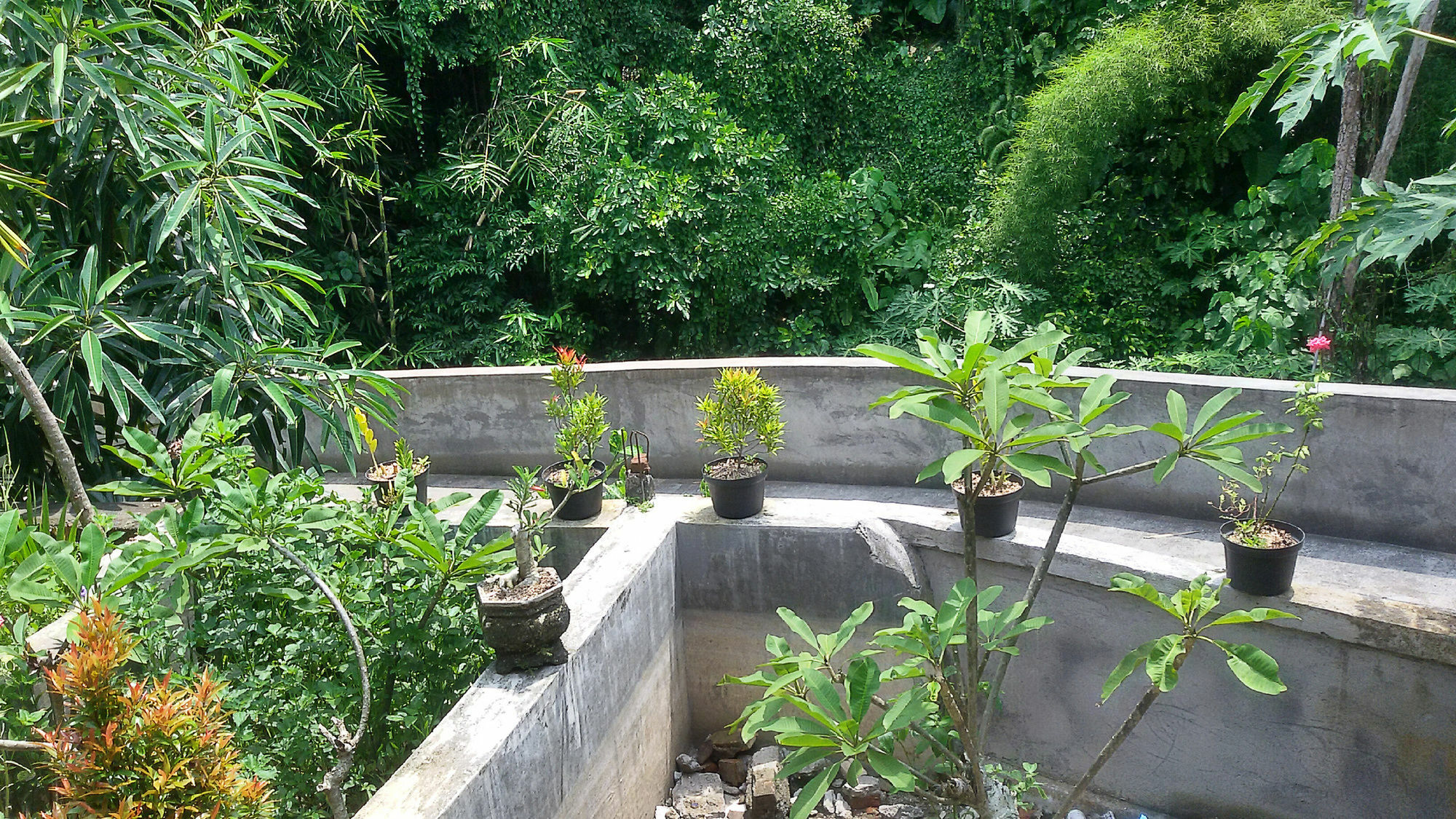 Karma House Lejlighed Ubud Eksteriør billede