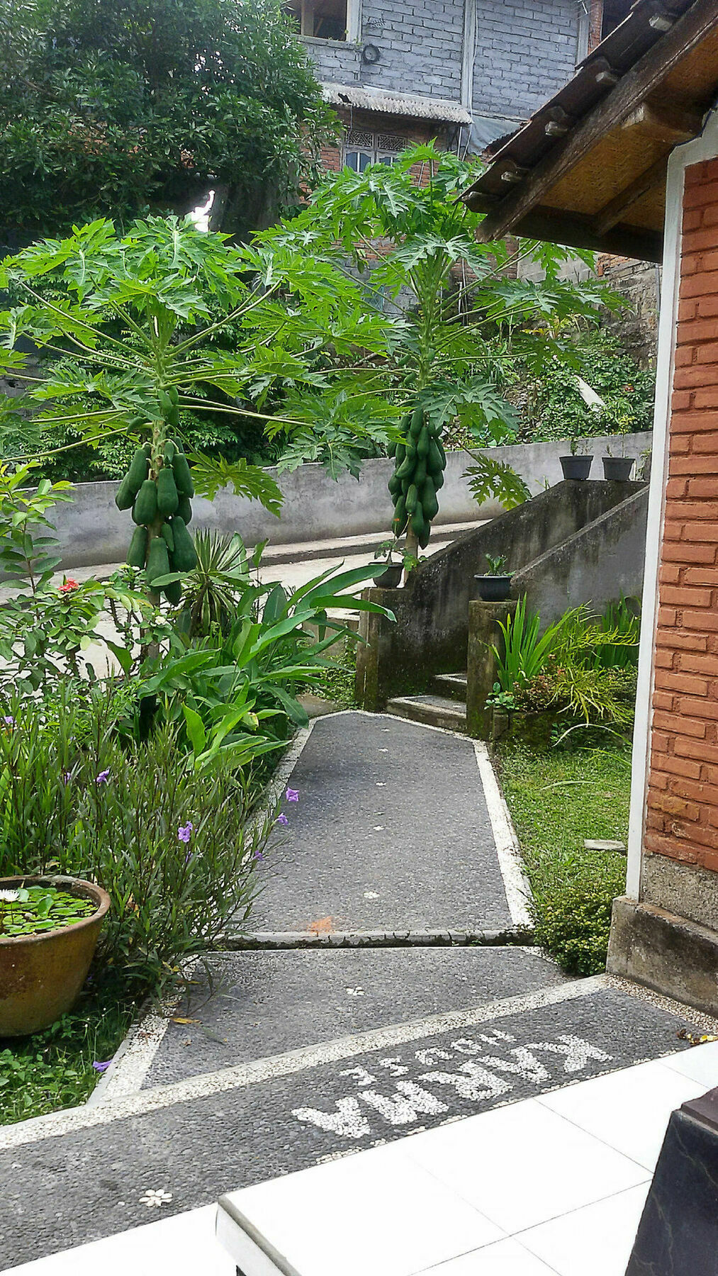 Karma House Lejlighed Ubud Eksteriør billede