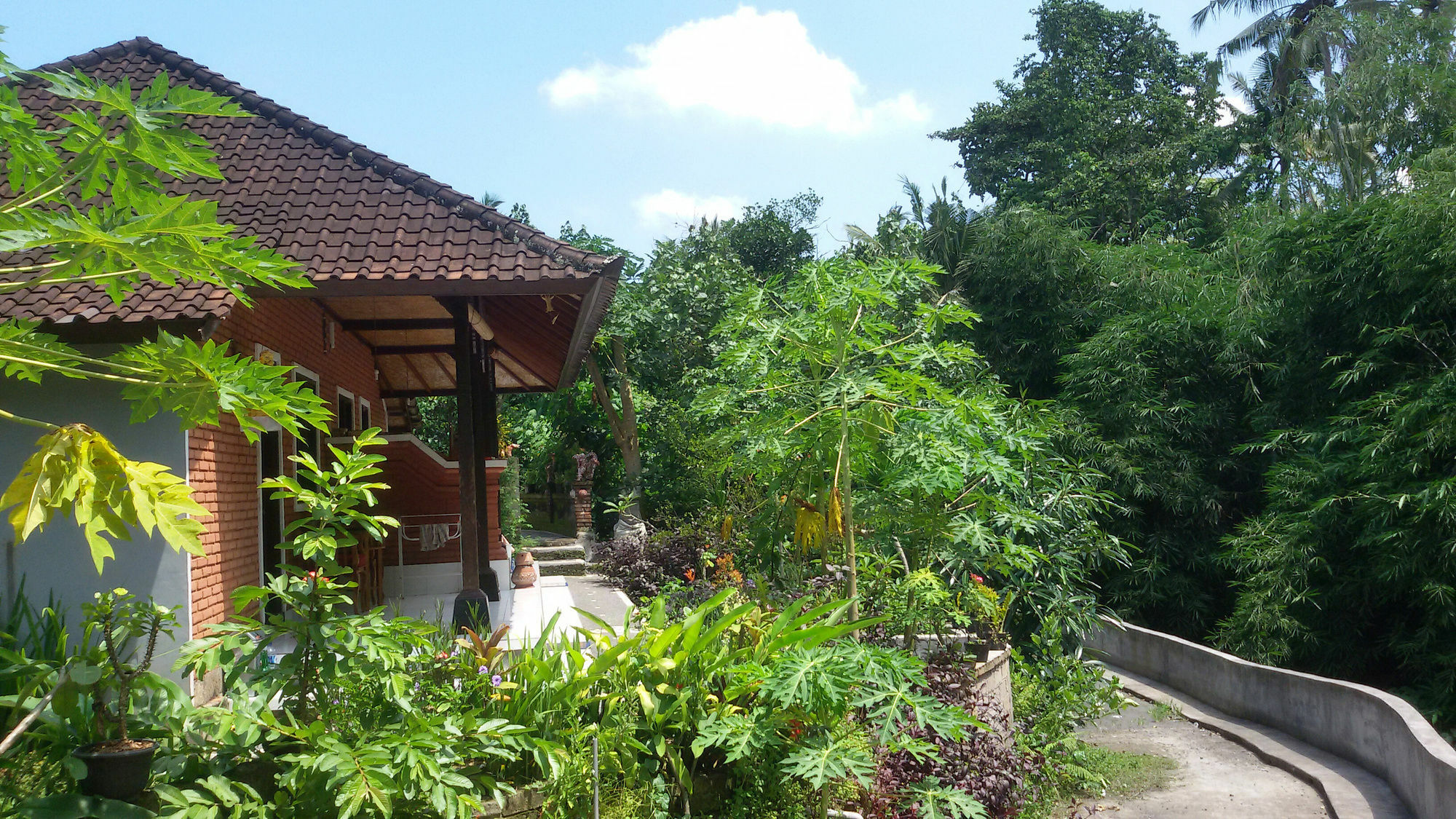 Karma House Lejlighed Ubud Eksteriør billede